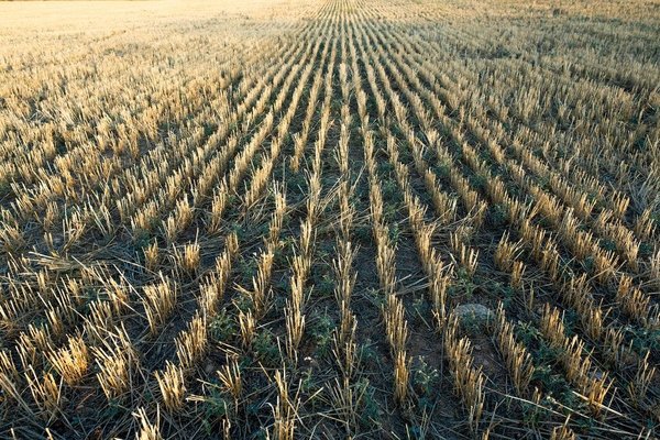 Comment utiliser Card Veritas pour gérer vos dépenses ?