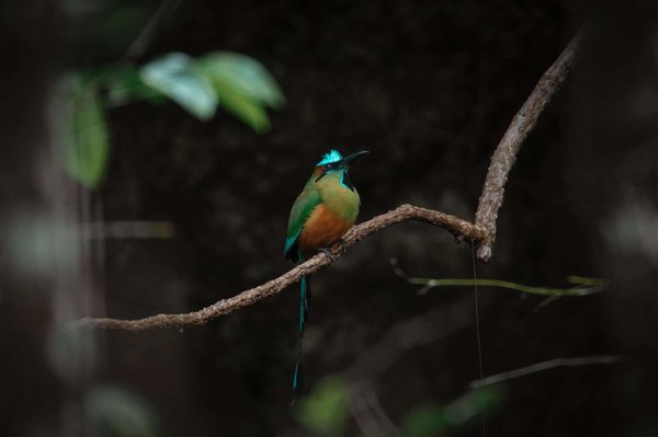 les nouvelles formules d'assurance pour les petites entreprises
